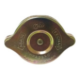 Tampa Radiador Trator Massey Ferguson 50x 55x 65x 85x 95x
