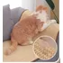 Tapete Arranhador Dobrável Para Gatos De Sisal C  Catnip Gg