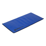 Tapete Colchonete Pra Academia 100cm X 50cm Espuma D80 Cor Azul Megagym Equipamentos