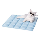 Gato