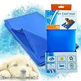 Tapete Gelado Para Pets Cães Gatos Cachorro 65x50 Colchonete