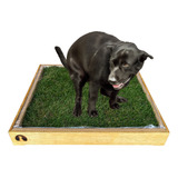 Tapete Higiênico G Para Pets Grama 100 Natural