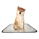 Tapete Higiênico Lavável M Super Absorção De Xixi