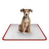 Tapete Higiênico Lavável Para Cães - M 80x60 - 5 Un Vermelho