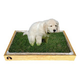 Tapete Higiênico Para Pets Grama 100 Natural Happy Pi M