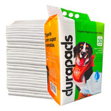 Cães
