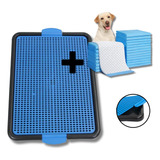 Tapete Higiênico Sanitário Canino Xixi Banheiro Pet Cachorro