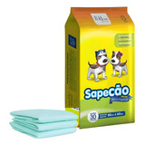 Absorvente
