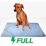 Tapete Jornal P Cães 400uni Papel Pet Biodegradavel brinde