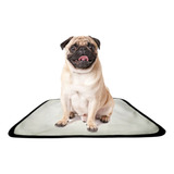 Tapete Pet Lavavél Dog Tamanho Médio 50x60cm Kit 10 Peças