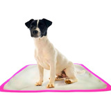Tapete Pet Lavavél Pink Dog Tamanho Médio 50x60 Kit 10 Peças