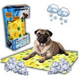 Tapete Petbox Tapete Gelado Pet De Resfriamento Para Animais De Estimação G Cor Amarelo