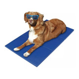 Tapete Refrescante Gelado Verao 90 X 50 Caes Gatos Home Pet