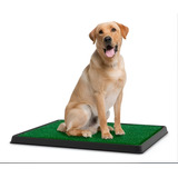 Tapete Sanitário Pet Kit Refil C 2 40x51cm 100 Proteção Uv