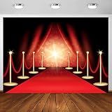 Tapete Vermelho 2 1 X 1 5 M Tecido Filme Estrela Filme Festa Noite Fotografia Fundo Vermelho Curatin Evento Festa Aniversário Foto Estúdio Banner