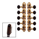 Tarraxa Viola Rozini Dourada Pino Fino Rax339gpf sb 18 Dente
