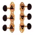 Tarraxa Violao Nailon Rozini Dourada Pino Grosso Ra405gkpg
