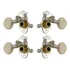 Tarraxas Ukulele Grover 9nw Sta-tite  White Button