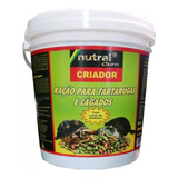 Tartaruga Criado Balde De 1 3kg