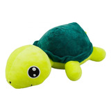 Tartaruga Terrestre Verde Deitado