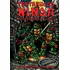 Tartarugas Ninja: Coleçao Clássica Vol. 1, De Kevin Eastman. Editora Pipoca E Nanquim, Capa Dura Em Português