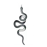 Tatuagem Temporária Cobra Serpente C9955