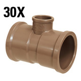 30pçs