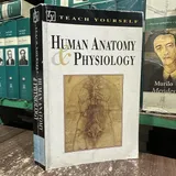 Teach Yourself Human Anatomy