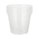 potes orquidea plastico transparente