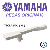 Tecla Musical Sol G