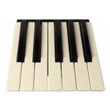 Tecla P  Teclado Technics Kn1600 Kn1400 Kn720 Kn920 1 Oitava