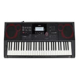 Teclado Digital Arranjador Casio