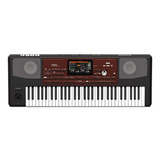 Teclado Korg Pa 700