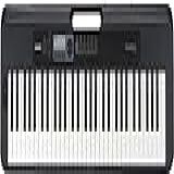 Teclado Musical Casiotone Basico