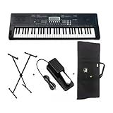 Teclado Roland Revas KB330 Preto Capa Simples Suporte Pedal Sustain