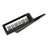 Teclado Sintetizador Rk100s2 Korg C 37 Teclas 200 Programa