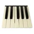 Teclas Teclado Korg Pa500   Pa600   X50  12 Teclas 1oitava 