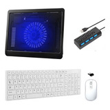 Tecld Mouse Suporte