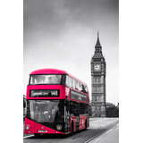 Onibus
