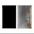 Tela Display Lcd Samsung Galaxy Tab P3100 P3110 P1000 P6200