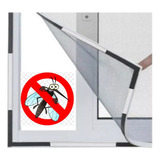 Mosquito