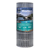 Morlan