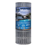 Morlan