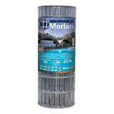 Morlan