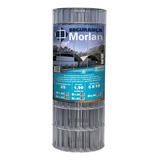 Morlan