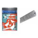 Morlan