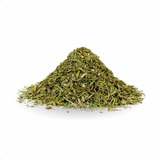 Tempero Ervas Finas 1kg Premium Alta Qualidade