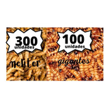 Tenébrio 300 Unidades Molitor Normal E 100 Unid Gigantes 