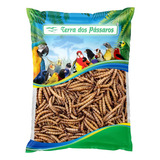 Tenébrio Gigante Desidratado Larvas Seca Pássaros 100 Gramas