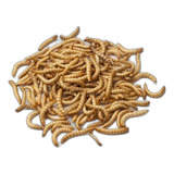 Larvas